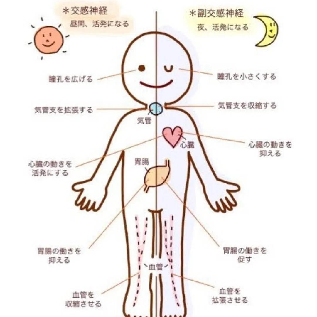 自律神経を整える