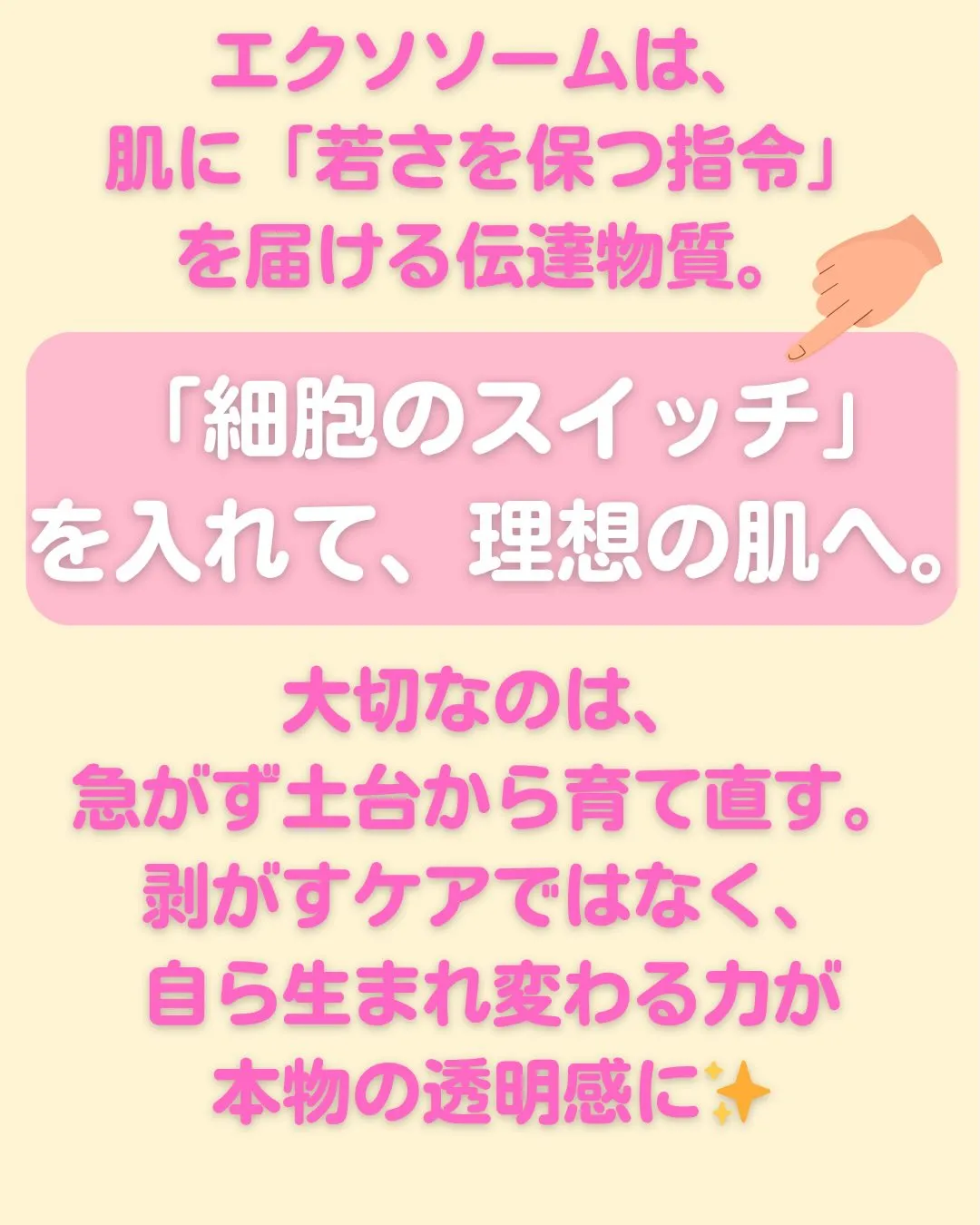 高鍋町にある、