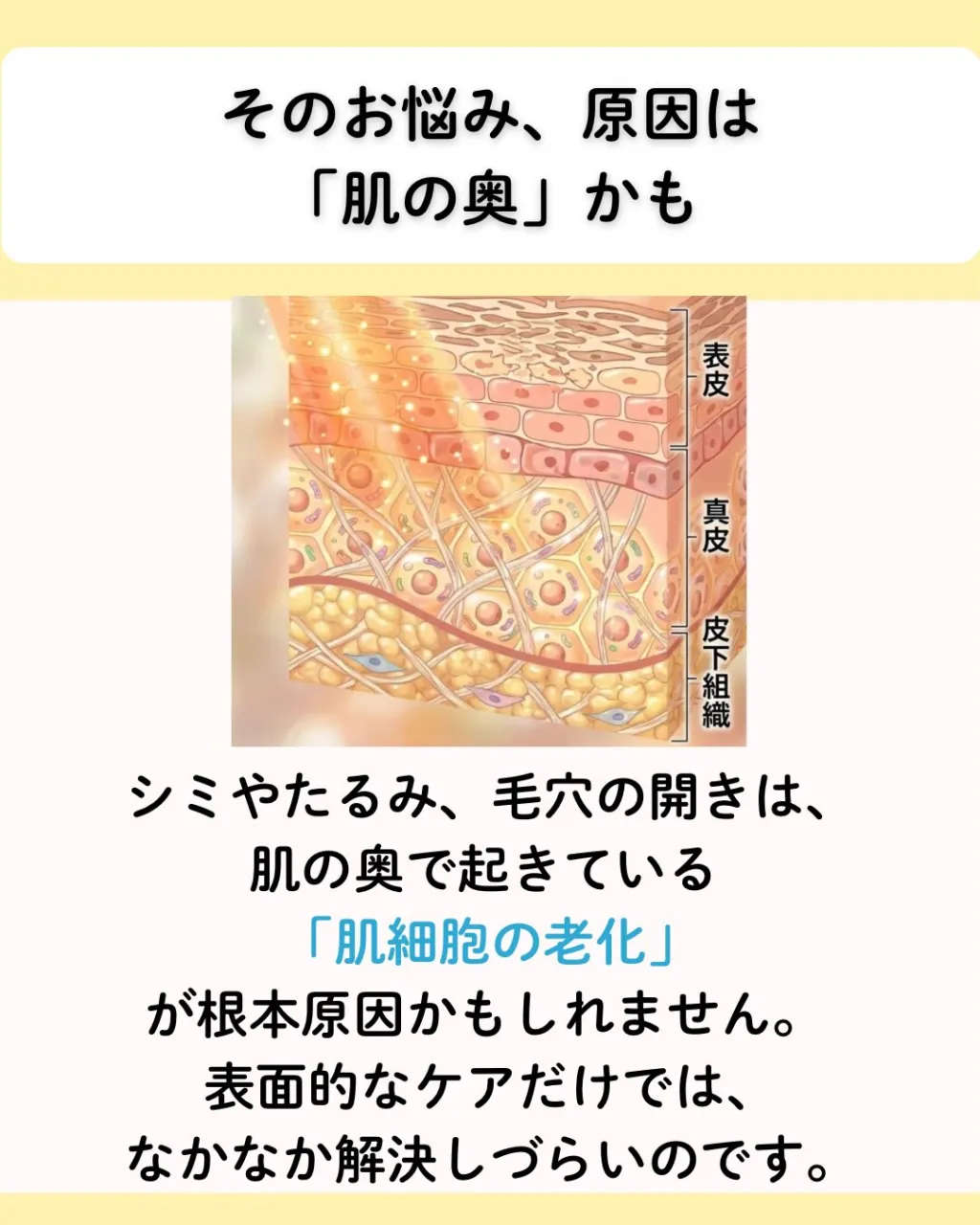 宮崎県児湯郡高鍋の肌再生サロン、Fikaの竹原です😊